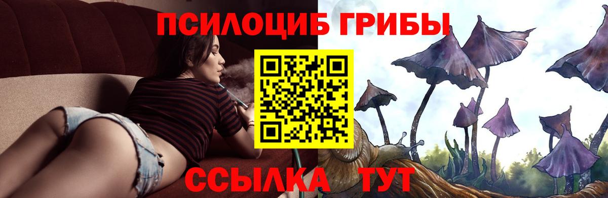 Псилоцибиновые грибы MAGIC MUSHROOMS Мурино